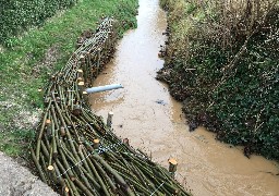 A Hames-Boucres, Grand Calais teste le Génie Végétal pour lutter contre les inondations.