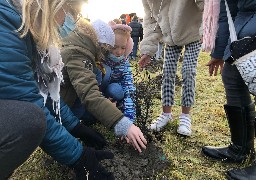 Ecoliers et lycéens ont planté 560 arbres au lac d'Armbouts-Cappel.