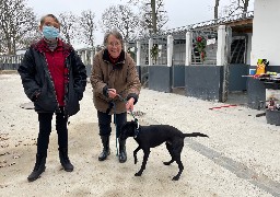 A la SPA on veille à ce que les animaux ne soit pas adoptés à la légère au moment de Noël 