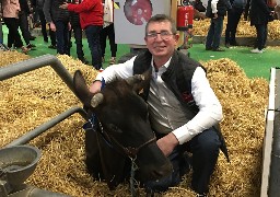 Au salon de l'agriculture : Orene décroche le prix de Grande Championne des Rouges flamandes !