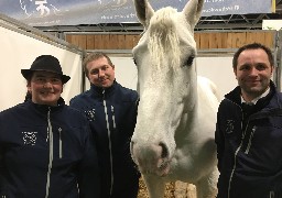 Au salon de l'agriculture : un premier prix au trophée inter-races pour deux juments d'Auxi-le-Château