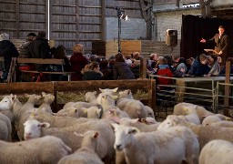 Retour du festival théâtre à la ferme dans la région d’Audruicq Oye-Plage !