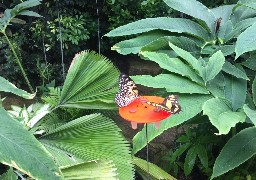 Le programme des Rendez-vous aux jardins dans le Calaisis