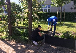 De jeunes allemands au chevet du jardin Tudor à Calais 