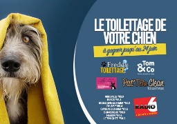 Gagnez le toilettage de votre animal de compagnie en écoutant Radio 6