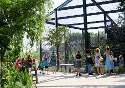 200 000 visiteurs au Zoo d'Amiens, un record en 70 ans  !