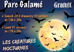 Vive Hal'loon Ween à Loon-plage !