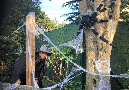 A Fort-Mardyck, le parc animalier Bio-Topia est aux couleurs d'Halloween !