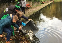 Coudekerque-Branche : 500 kilos de poissons déversés dans les douves du Parc du Fort Louis. 