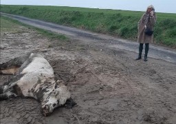La députée RN Christine Engrand demande que le fond d'aide à la lutte contre l'immigration puisse aussi indemniser des agriculteurs !