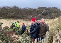 Démarrage aujourd’hui de la collecte de sapins à Wissant