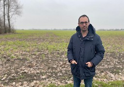 La justice européenne interdit les néonicotinoïdes : les betteraviers inquiets pour le rendement de leur culture