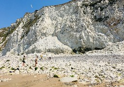 A Escalles, ne dérangez pas les Mouettes Tridactyles nichées sur la falaise. 