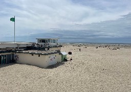 Début de noyade à Berck-sur-Mer