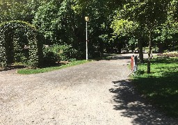 A Calais, une jeune fille se fait piquer par des frelons asiatiques au parc Saint-Pierre. 