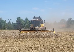 Les moissons ont pu reprendre avec le retour du soleil et la chaleur.