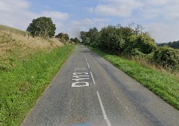 Marenla: deux chevaux morts percutés par une voiture, le conducteur légèrement blessé