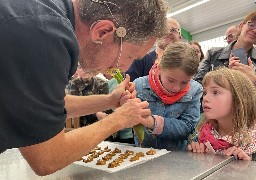 A Saint-Folquin, découvrez comment la Chicorée se cuisine le 15 octobre. 