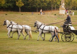 A Dunkerque, les commerçants font venir des calèches pour faire du shopping à Noël !