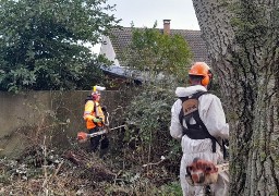 Mise en sécurité du hameau des Escardines à Oye-Plage