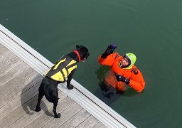 L’unité cynotechnique des pompiers du Pas-de-Calais en exercice au port de plaisance de Calais