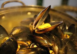  Quelques nouveautés pour la Kermesse de la moule à Calais