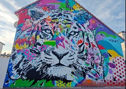 Calais : rencontre avec deux artistes du Festival de Street Art