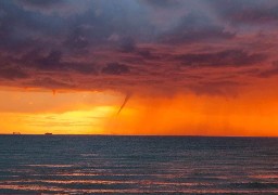 Des tubas observés hier soir au large du boulonnais 