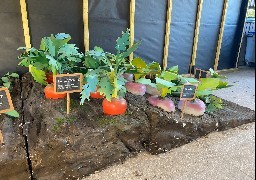 A Loon-plage, Croc'Expo présente les fruits et légumes de la fourche à la fourchette !