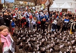 La fête de la dinde c’est ce week-end à Licques. 