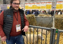 11 éleveurs de moutons boulonnais présents cette année au Salon de l'Agriculture !