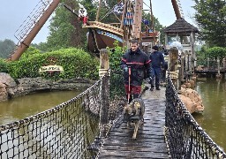 Hauts-de-France: les pompiers ont entraîné leurs chiens de recherche de victimes à Bagatelle