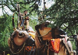 Saint-Martin-Boulogne envahie par des marionnettes géantes: le spectacle à ne pas rater ce dimanche