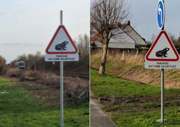 RUE : de nouveau panneaux pour protéger les amphibiens autour du Marais de Larronville
