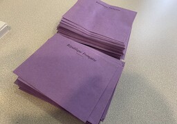 Élections municipales : Les taux de participation dans les Hauts-de-France ce dimanche matin.