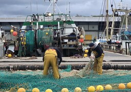 A Boulogne, la détresse des pêcheurs, à quai face à la flambée des prix du carburant