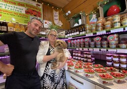 À Landrethun-lès-Ardres, la ferme des Fraisiers ramène sa fraise sur les marchés depuis plus d'un mois