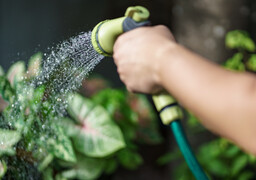Sécheresse dans la Somme : plusieurs secteurs placés en vigilance pour économiser l’eau