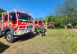 Neufchâtel-Hardelot : un feu se déclare dans une forêt, au moins un hectare touché