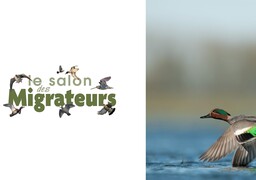 Le salon des migrateurs est de retour à Cayeux-sur-mer !