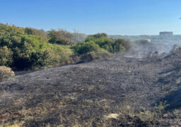 Neufchâtel-Hardelot : le feu de forêt repart dans la nuit, l'intervention toujours en cours