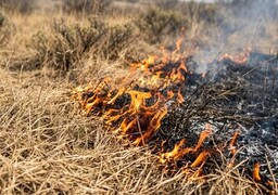 Matringhem : un nouvel énorme feu de champ détruit 10 hectares