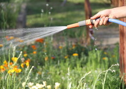 Sécheresse dans la Somme : les restrictions d’eau se durcissent, voici ce qui est désormais interdit