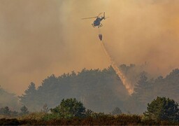 Feux au Mont Saint-Frieux : à 21h30, 180 hectares brûlés, une maison détruite, et des pompiers toujours mobilisés