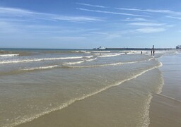 La baignade interdite temporairement à Calais la plage !