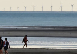 Les éoliennes du Tréport visibles depuis Berck, les habitants montent au créneau