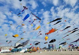 “Berck reste la plus belle plage dans notre cœur” : réactions après le classement en deuxième place du concours de la plage préférée des Français
